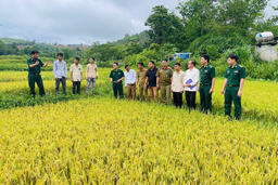<a href="/phat-trien-ben-vung" title="Phát triển bền vững" rel="dofollow">Phát triển bền vững</a>