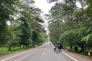 <a href="/phat-trien-ben-vung" title="Phát triển bền vững" rel="dofollow">Phát triển bền vững</a>