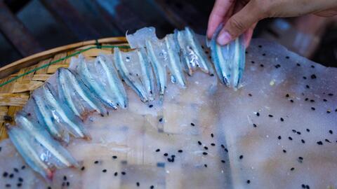 Bánh tráng cá cơm đậm đà vị biển của người Quảng Ngãi