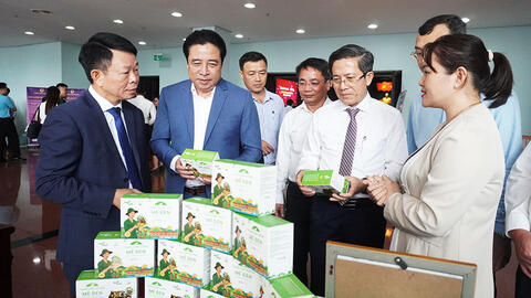 Chuyển đổi xanh mở ra hướng phát triển bền vững cho Đà Nẵng