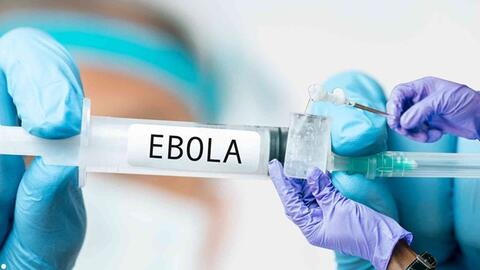 TPHCM siết giám sát cửa khẩu, chủ động ngăn nguy cơ dịch Ebola xâm nhập