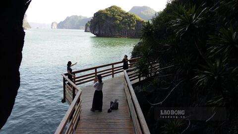 Phấn đấu mở cửa bãi biển thuộc top 100 bãi biển đẹp nhất thế giới trên vịnh Hạ Long