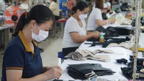 Gần 1.400 doanh nghiệp ở Hải Phòng chậm đóng BHXH từ 2 tháng trở lên