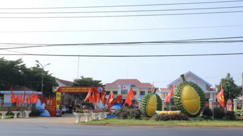 Sầu riêng - ‘đòn bẩy’ phát triển kinh tế Ea Knuếc