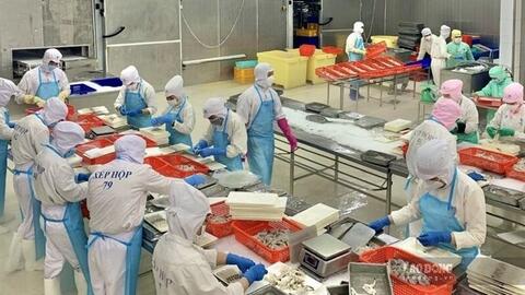 Cam kết thu nhập 12 triệu đồng/tháng, doanh nghiệp ở Cà Mau vẫn khó tuyển lao động