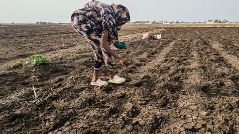 El Nino mạnh lên, Sudan đối mặt với hạn hán và mất mùa