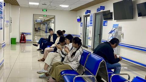 Tạo đột phá, đưa du lịch, năng lượng Gia Lai thành ngành kinh tế phát triển