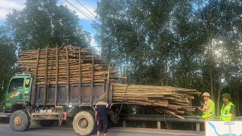Xử lý xe chở keo tràm vượt chiều dài thùng xe