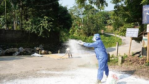 Phú Thọ ghi nhận 44 ổ dịch tả lợn châu Phi