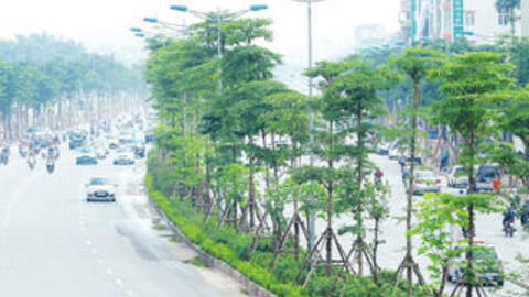 Bước chuyển trong phát triển hạ tầng xanh Hà Nội