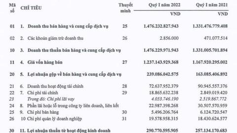 Đầu tư Sài Gòn VRG (SIP): Quý 1 lãi 235 tỷ đồng tăng 13% so với cùng kỳ