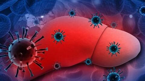 Việt Nam chưa ghi nhận trẻ mắc viêm gan cấp tính không rõ nguyên nhân