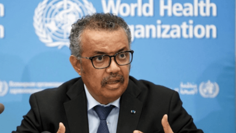 WHO cảnh báo nóng về siêu bệnh tiến hóa thành không thuốc chữa