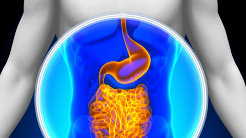 Viện Nghiên cứu Dị ứng và Hen suyễn cảnh báo: Máy rửa bát có khả năng tàn phá ruột và âm thầm gây nên các bệnh mạn tính