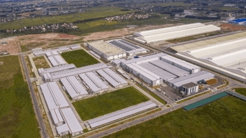 Cao su VRG: Quý 4 lãi 46 tỷ đồng, gấp 115 lần cùng kỳ