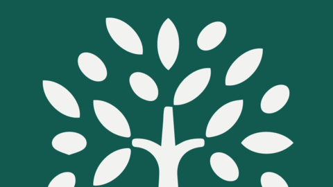 Nghiên cứu gần 500.000 người của Harvard phát hiện loại thực phẩm giúp sống lâu, giảm nguy cơ ung thư bất ngờ