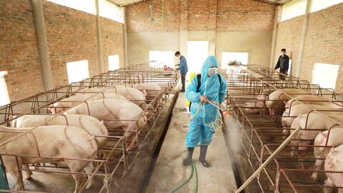 Tăng cường kiểm tra hàng năm các cơ sở gây ô nhiễm môi trường