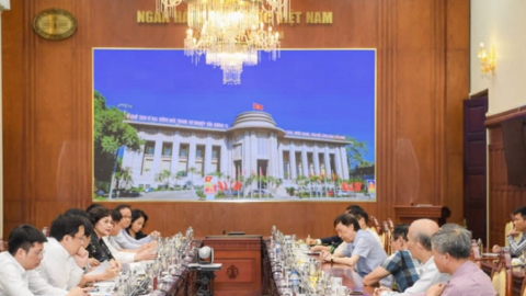 Nhiều chuyên gia đề xuất đánh thuế giao dịch vàng