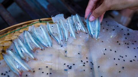 Bánh tráng cá cơm đậm đà vị biển của người Quảng Ngãi