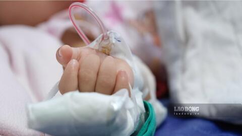 An Giang nêu phương án ứng phó đỉnh dịch khi ca sốt xuất huyết tăng gấp đôi