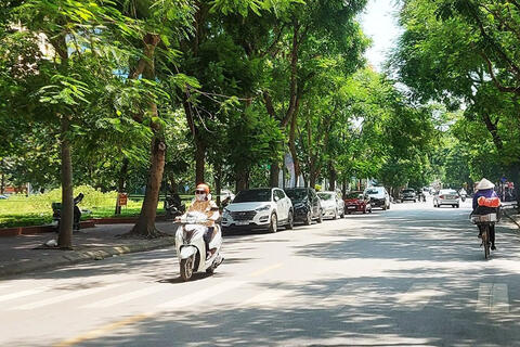 <a href="/trai-dat-xanh" title="Trái đất xanh" rel="dofollow">Trái đất xanh</a>