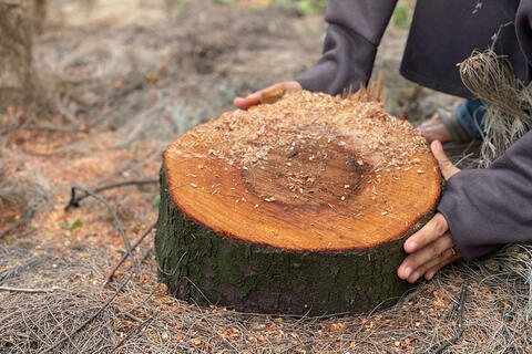 <a href="/phap-luat" title="Pháp luật" rel="dofollow">Pháp luật</a>