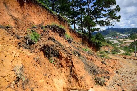 <a href="/thuong-hieu-xanh/tin-tuc/tin-trong-nuoc" title="Tin trong nước" rel="dofollow">Tin trong nước</a>