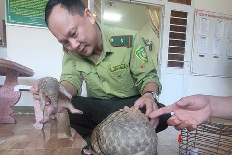 <a href="/trai-dat-xanh" title="Trái đất xanh" rel="dofollow">Trái đất xanh</a>