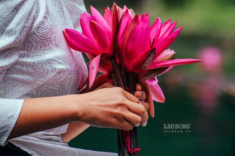 <a href="/du-lich" title="Du lịch" rel="dofollow">Du lịch</a>