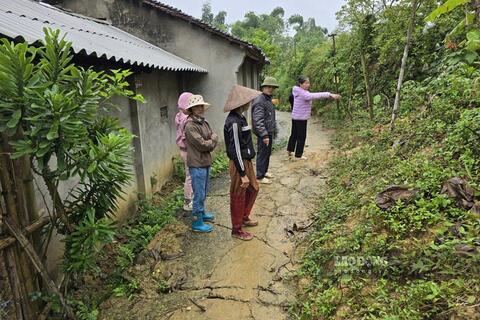 <a href="/thuong-hieu-xanh/tin-tuc/tin-trong-nuoc" title="Tin trong nước" rel="dofollow">Tin trong nước</a>