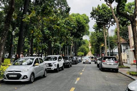 <a href="/thuong-hieu-xanh/tin-tuc/tin-trong-nuoc" title="Tin trong nước" rel="dofollow">Tin trong nước</a>