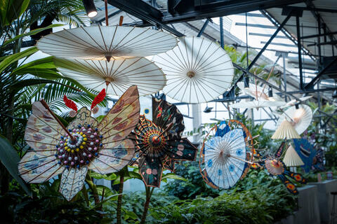 <a href="/van-hoa" title="Văn hóa" rel="dofollow">Văn hóa</a>