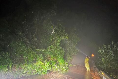 <a href="/thuong-hieu-xanh/tin-tuc/tin-trong-nuoc" title="Tin trong nước" rel="dofollow">Tin trong nước</a>