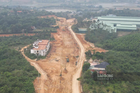 <a href="/thuong-hieu-xanh/tin-tuc/tin-trong-nuoc" title="Tin trong nước" rel="dofollow">Tin trong nước</a>