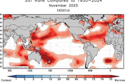 <a href="/trai-dat-xanh" title="Trái đất xanh" rel="dofollow">Trái đất xanh</a>