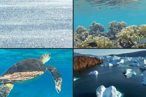 <a href="/trai-dat-xanh" title="Trái đất xanh" rel="dofollow">Trái đất xanh</a>