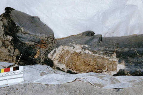 <a href="/van-hoa" title="Văn hóa" rel="dofollow">Văn hóa</a>