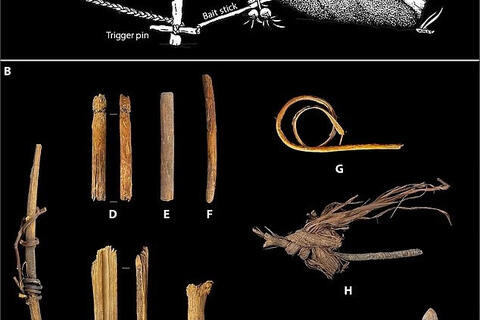 <a href="/van-hoa" title="Văn hóa" rel="dofollow">Văn hóa</a>