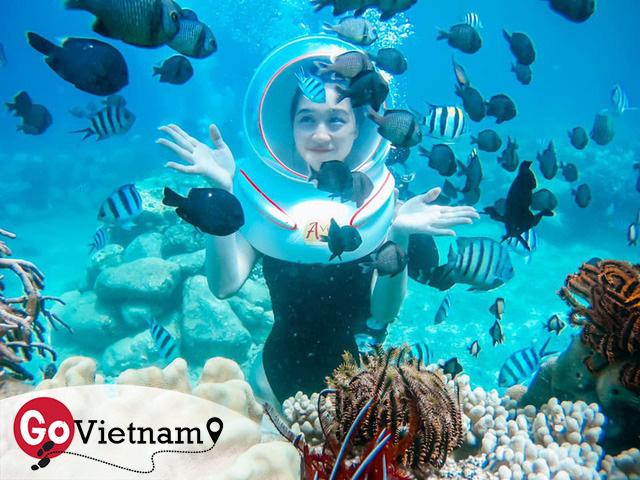 Thử trọn gói dịch vụ 5 sao ở Nha Trang: Đi bộ dưới biển, bay dù lượn, tắm bùn. Chỉ hết 8 triệu? - Ảnh 17. Thử trọn gói dịch vụ 5 sao ở Nha Trang: Đi bộ dưới biển, bay dù lượn, tắm bùn. Chỉ hết 8 triệu? - Ảnh 17.