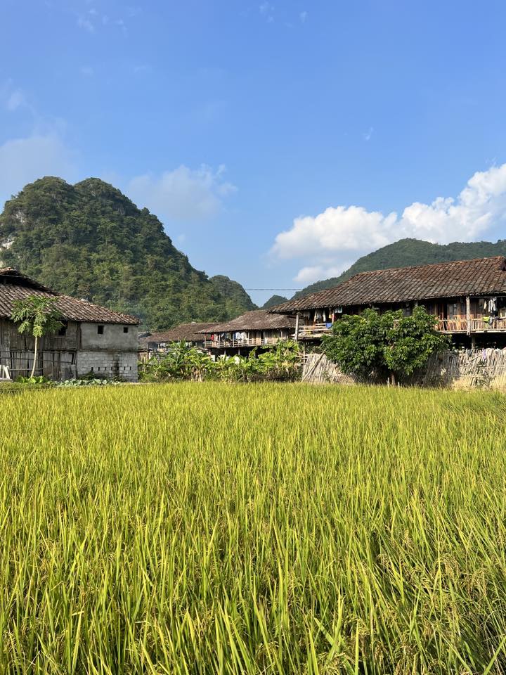 Những ngôi nhà sàn nằm san sát, ngăn nắp nép mình dưới chân núi, hướng mặt ra cánh đồng. Từ năm 2010, làng Quỳnh Sơn được chuyển đổi thành làng du lịch cộng đồng, người dân không chỉ tập trung làm công việc đồng áng như trước đây mà có ý tức trong giữ gìn cảnh quan, vệ sinh môi trường và bắt đầu các dịch vụ như homestay, cung cấp chỗ ăn ngủ cho du khách.