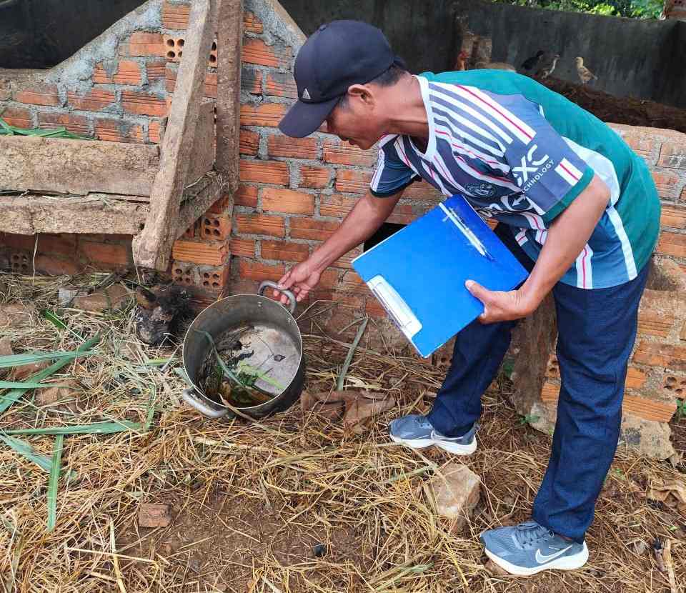 Số ca nhiễm sốt xuất huyết trên địa bàn năm 2025 đã giảm so với cùng kỳ 2024. Ảnh: Bảo Lâm