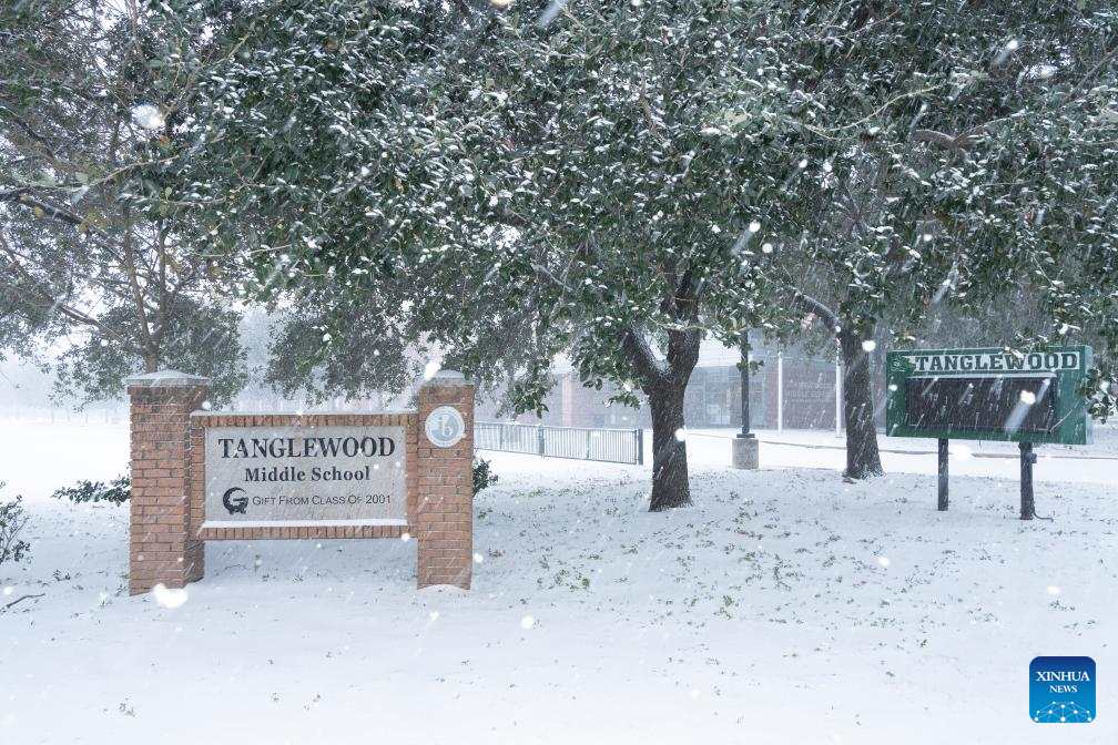 Bão tuyết ở Houston, Texas, Mỹ, ngày 21.1.2025. Ảnh: Xinhua