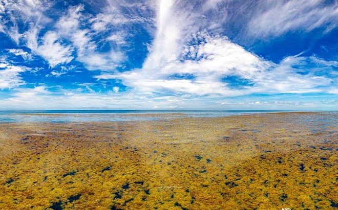 Biển độc nhất vô nhị trên Trái đất khiến giới khoa học kinh ngạc