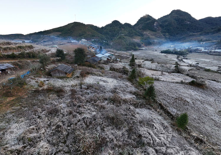 Theo người dân xã Y Tý, băng giá phủ trắng, đóng băng trên cây, cỏ... đến khi ánh nắng lên thì bắt đầu tan dần. Ảnh: Duy Dũng