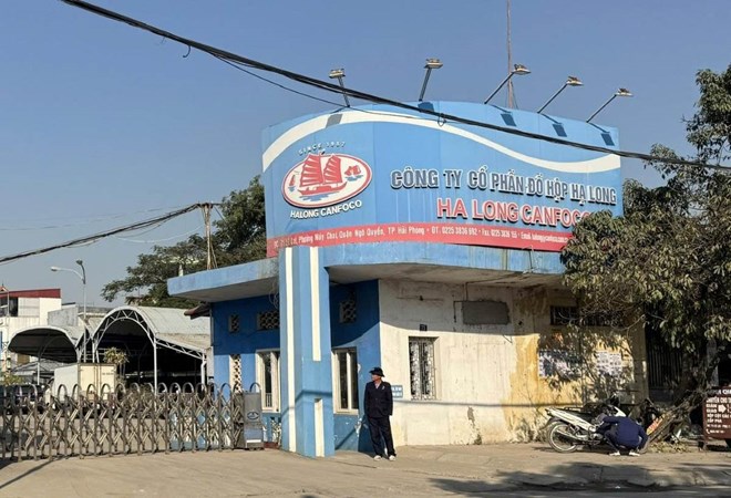 9 đối tượng bị khởi tố vụ 120 tấn thịt lợn nhiễm dịch tả làm thịt hộp