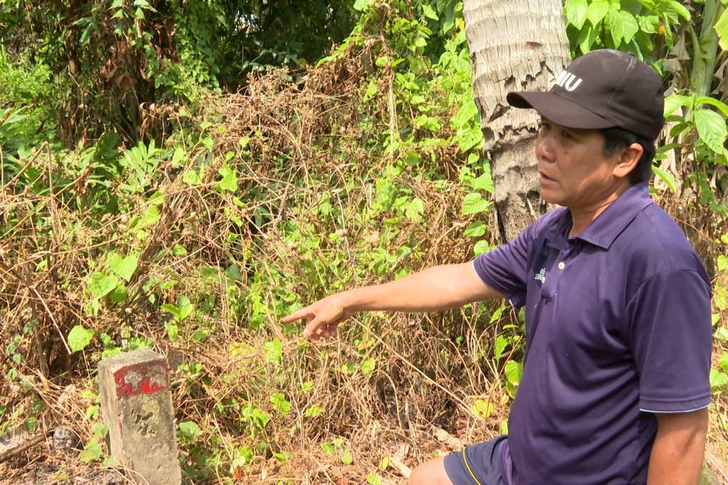 Trên diện tích khoảng 3.700m2, nhiều năm qua gia đình anh Lê Quang Tài gần như không có nguồn thu ổn định từ đất. Ảnh: Tạ Quang