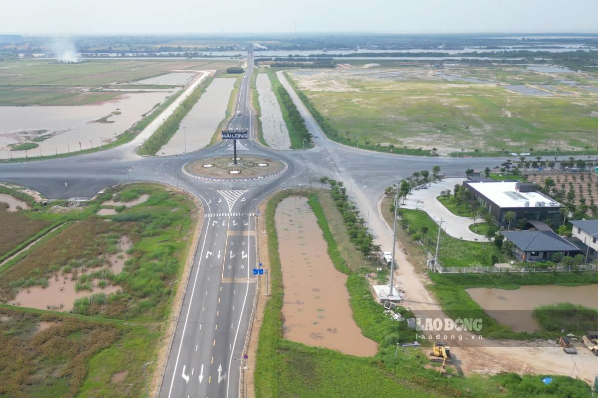 Quy hoạch khoảng 12%