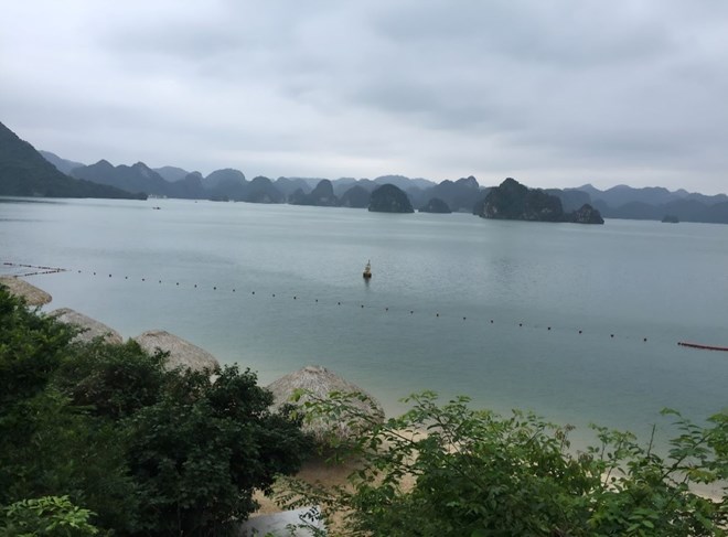 Phấn đấu mở cửa bãi biển thuộc top 100 bãi biển đẹp nhất thế giới trên vịnh Hạ Long