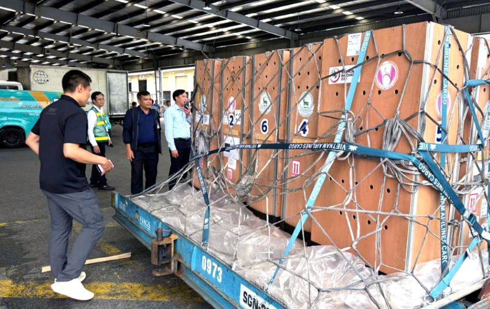 Các thùng giữ Sếu đầu đỏ về đến Sân bay Tân Sơn Nhất. Ảnh: TS Trần Triết