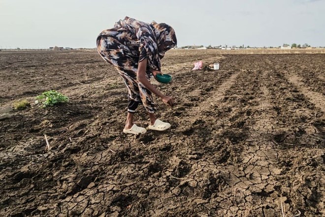 El Nino mạnh lên, Sudan đối mặt với hạn hán và mất mùa